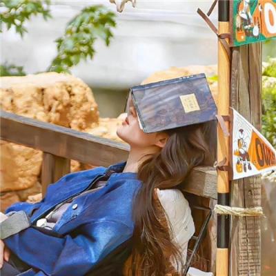 王爷是只大脑斧