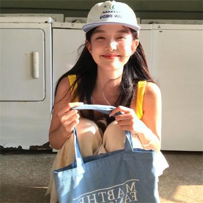 我自己的爱达荷